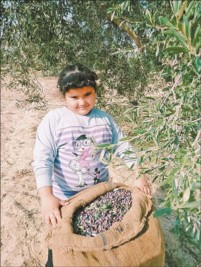 薛辕剑 突尼斯这样提升橄榄油知名度（第一现场）